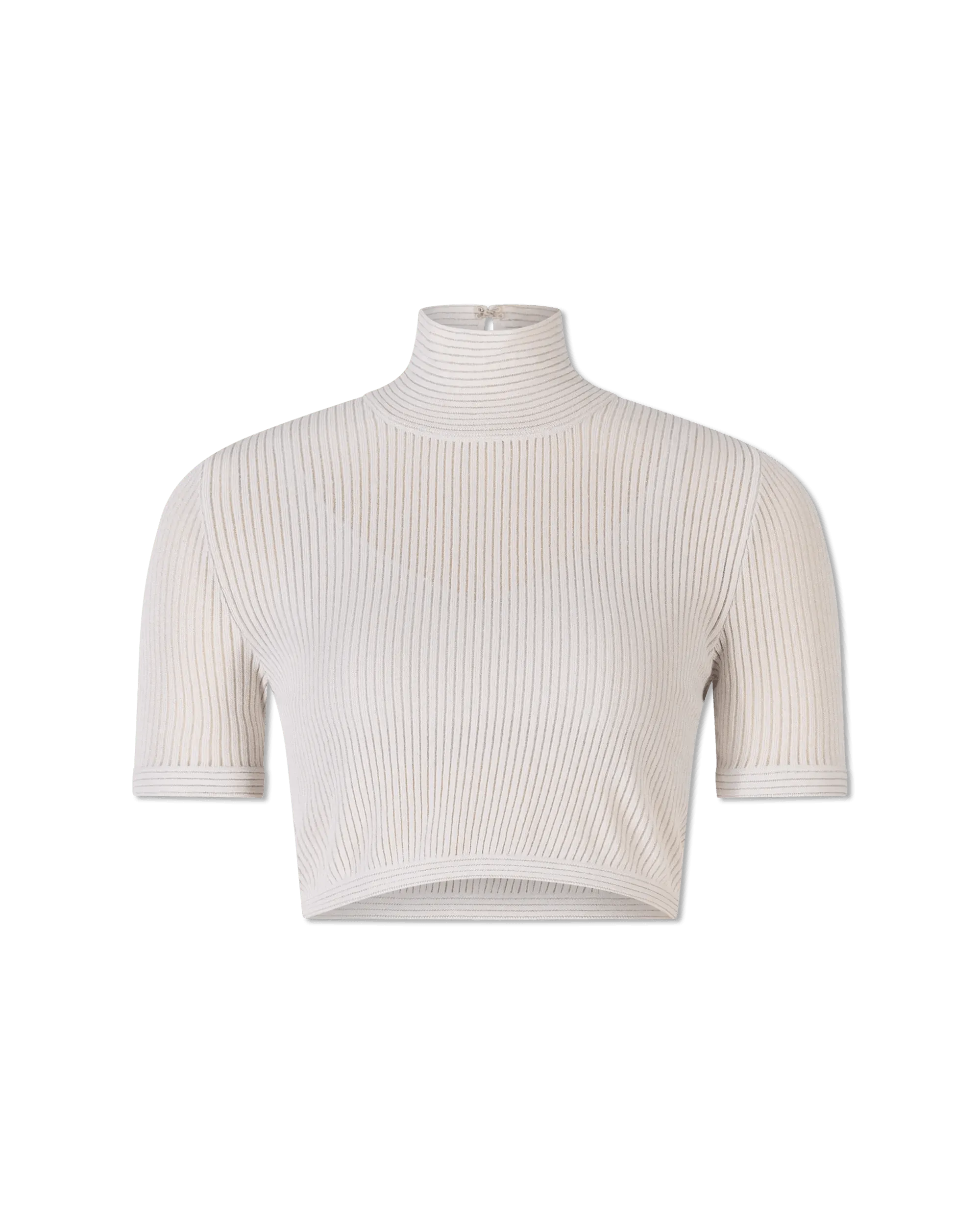 Semi-Sheer Turtleneck Crop Top